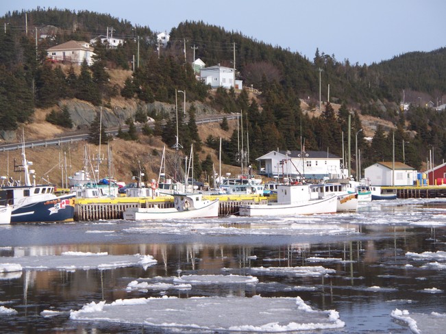Boats at Jerseyside, N.L. Placentia, Newfoundland and Labrador Canada
