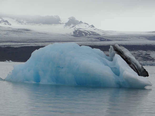 Iceberg in a glacial lagoon 