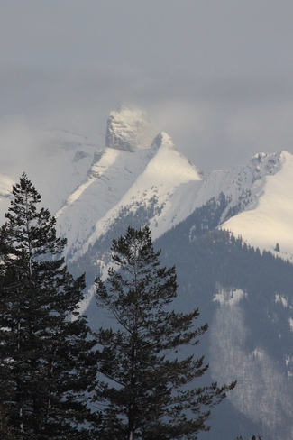 Snow Sentinals Canmore, Alberta Canada