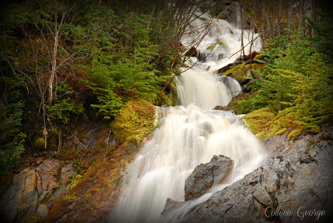 Woodsy Waterfall Queensport, Nova Scotia Canada