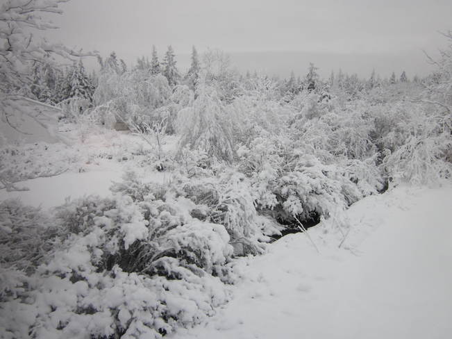 snowfall Halifax, Nova Scotia Canada