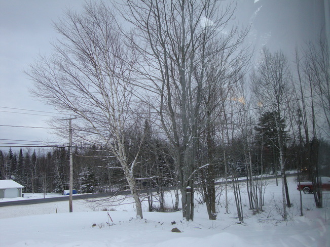 After the Dusting of Flurries Richibucto Road, New Brunswick Canada