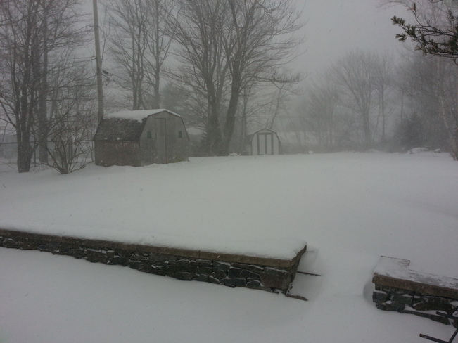snow storm in my back yard Lower Sackville, Nova Scotia Canada