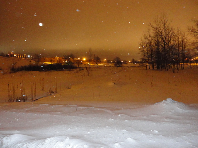 Ground Covered with Snow Sydney, Nova Scotia Canada