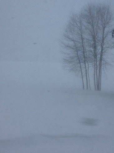 Blowing snow Bonfield, Ontario Canada