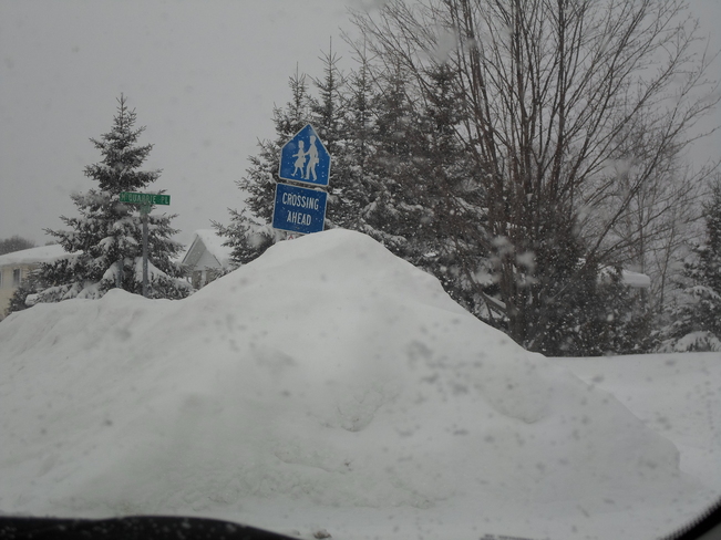 Deep Snow up to school crossing sign Elliot Lake, Ontario Canada