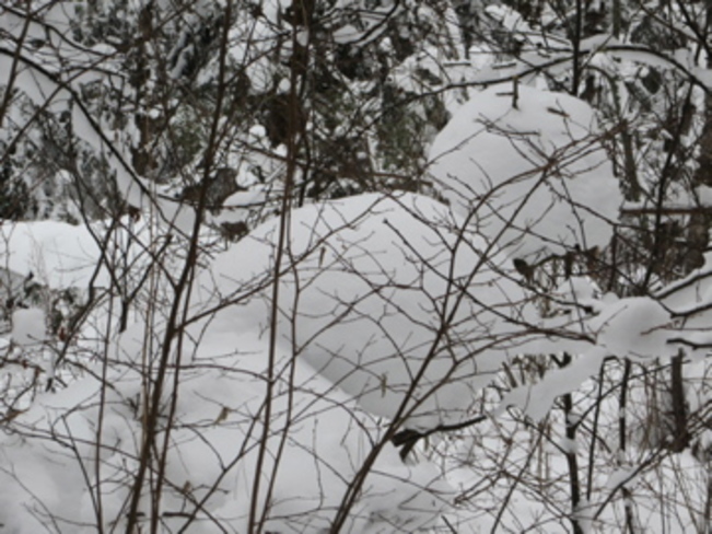 sleeping snowman Searchmont, Ontario Canada
