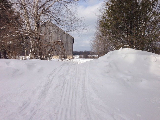 snow piles Flesherton, Ontario Canada