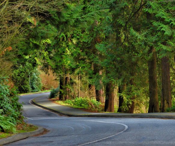 Follow the winding road to Spring! Vancouver, British Columbia Canada