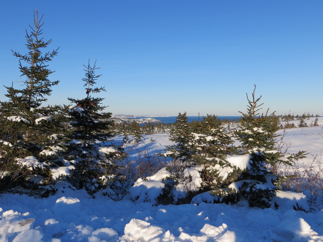 Beautiful Winter Scenery Carbonear, Newfoundland and Labrador Canada
