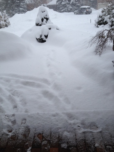 time to shovel? :( Mississauga, Ontario Canada