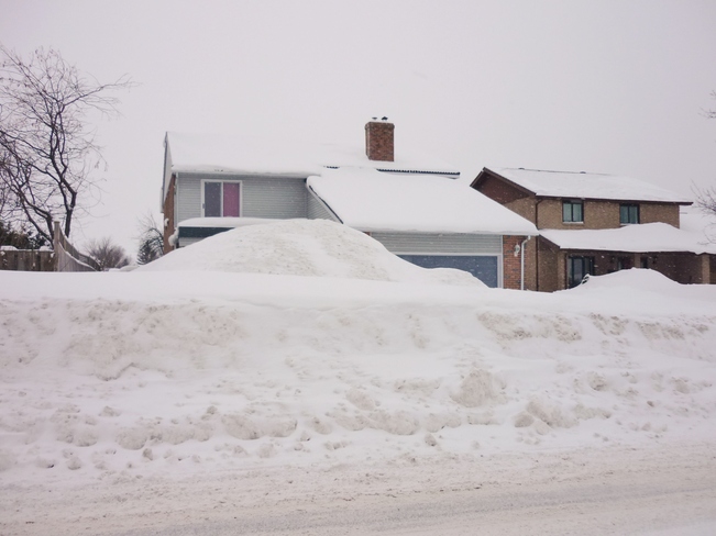 Houses hiding behind the Snow. Orillia, Ontario Canada