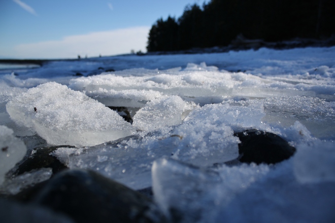 Frozen Sea Campbell River, British Columbia Canada