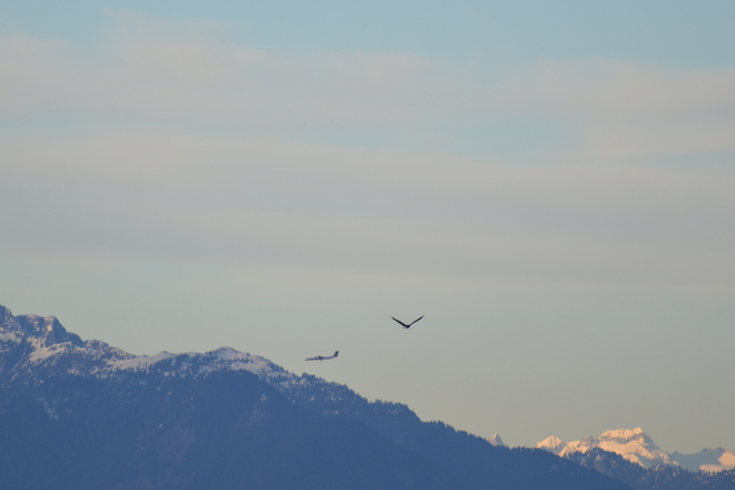 Fly By Delta, British Columbia Canada