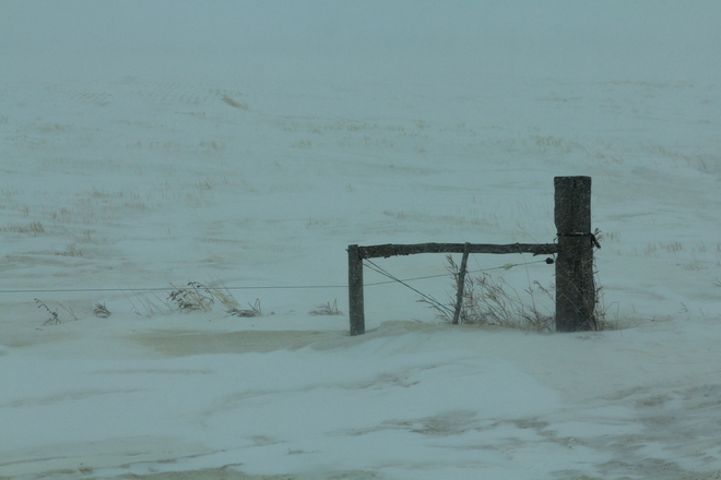Still Winter Dalmeny, Saskatchewan Canada