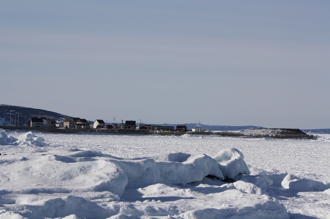 iced packed ocean Bonavista, Newfoundland and Labrador Canada