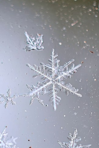 Snowflake Goderich, Ontario Canada