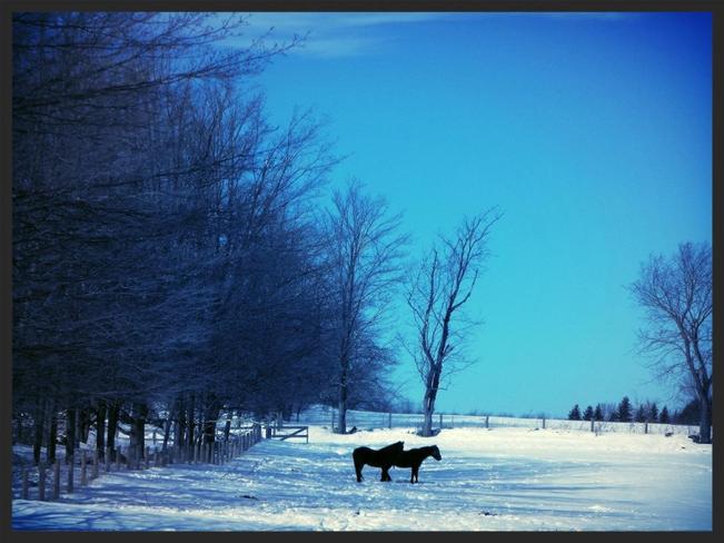 enjoy winter... Hamilton, Ontario Canada