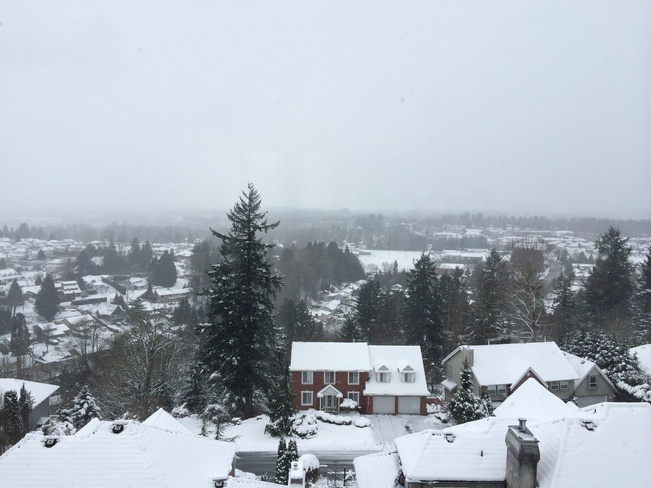 snow day! Abbotsford, British Columbia Canada