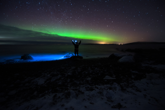 Newfoundland aurora