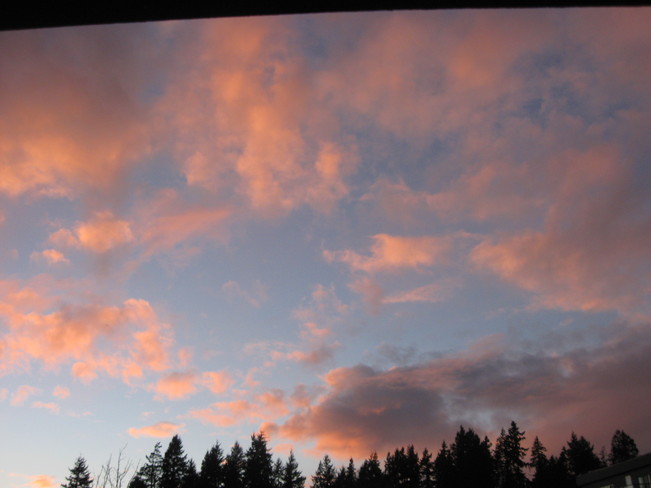 pink clouds Surrey, British Columbia Canada