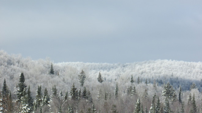 Just a dusting of snow Saint-Donat, Quebec Canada