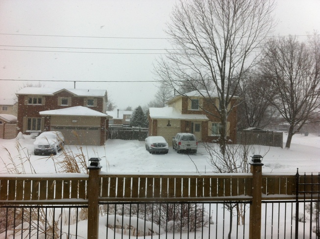 Sideways Snowstorm Oakville, Ontario Canada