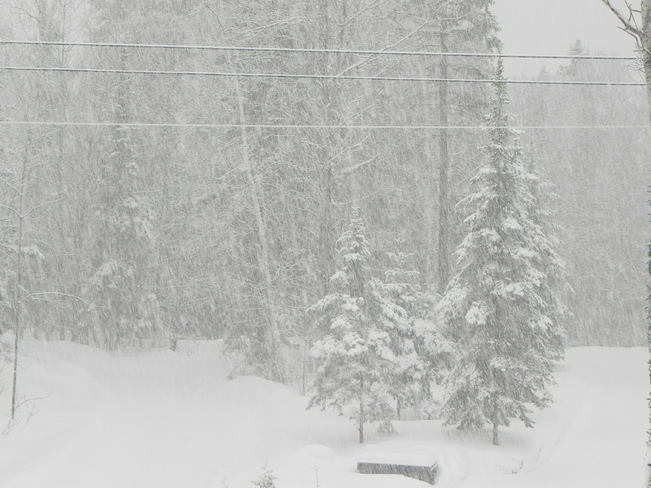 Let it snow Sudbury, Ontario Canada