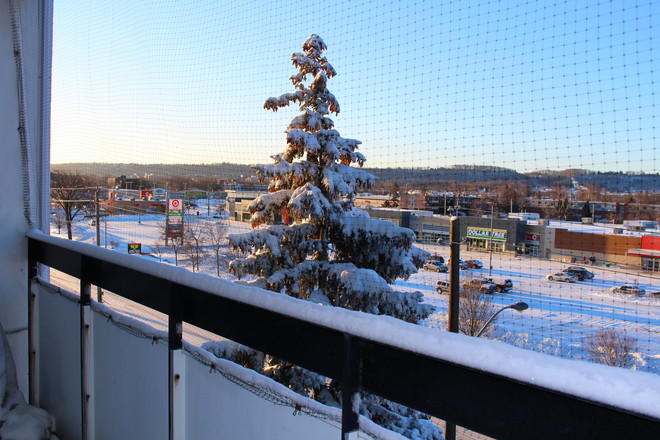 View From Balcony Hamilton, Ontario Canada
