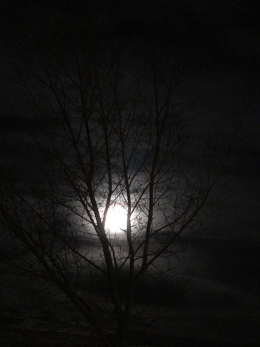 Night Time Moon Kindersley, Saskatchewan Canada