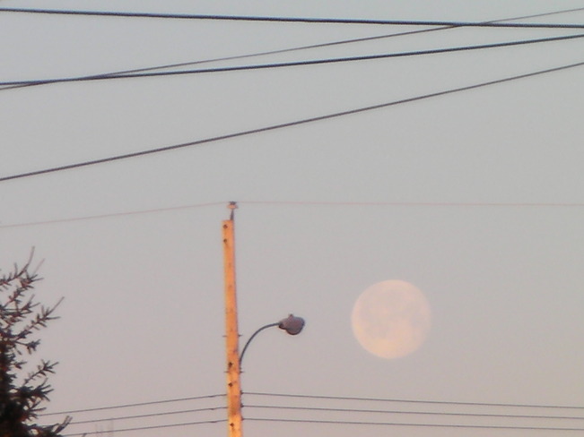 moon in the morning Westville, Nova Scotia Canada
