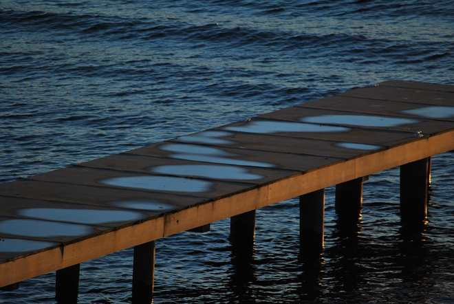 Puddles on the Dock South Kelowna, British Columbia Canada
