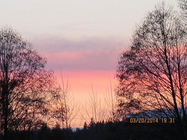 Sunset colours Cloverdale, British Columbia Canada