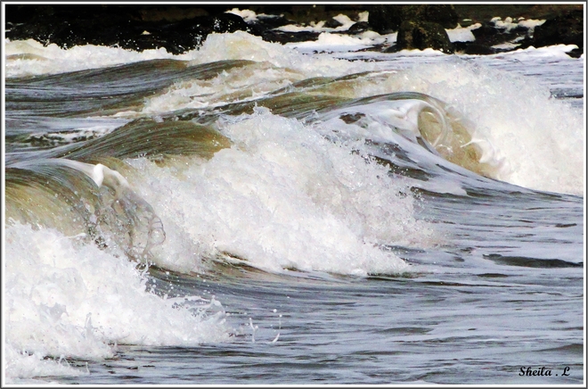 Spring Waves Canning, Nova Scotia Canada