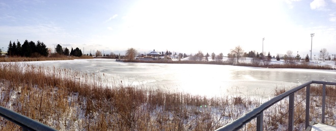 Frozen Pond! Richmond Hill, Ontario Canada