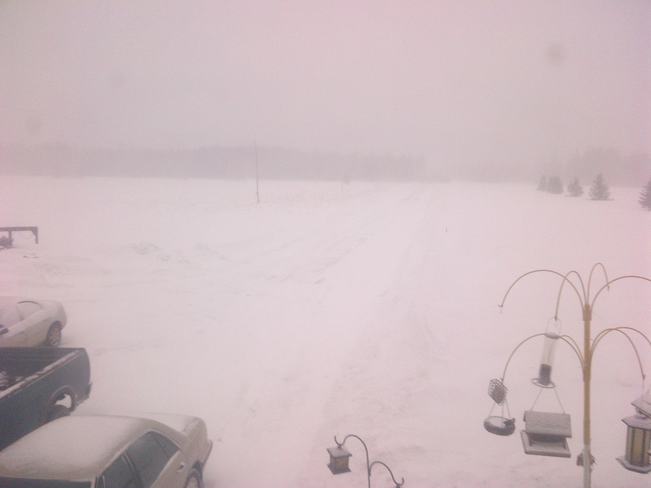 nothing like a snowy day Devlin, Ontario Canada