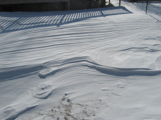 Snow and wind combination Kingston, Nova Scotia Canada