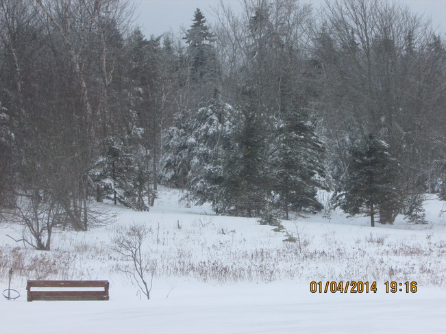 snow finaly stoped Joggins, Nova Scotia Canada