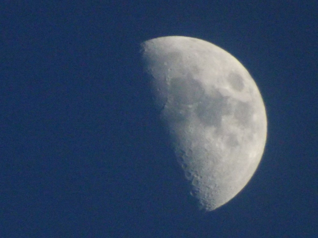 7 pm moon New Minas, Nova Scotia Canada