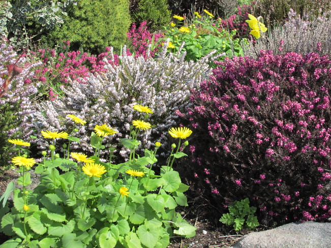 spring colours Surrey, British Columbia Canada