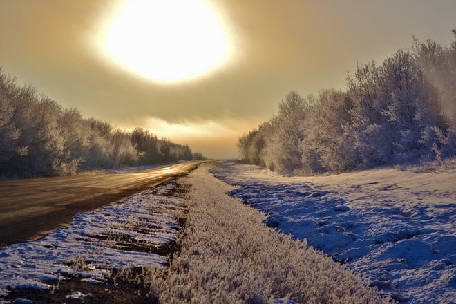 Frost Mornin Yorkton, Saskatchewan Canada