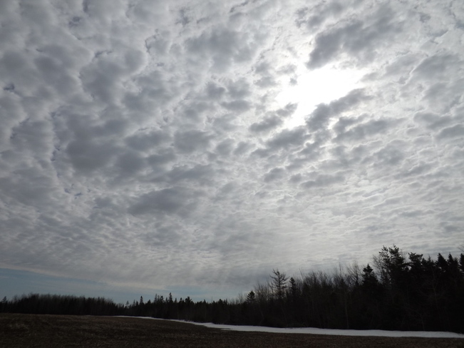 cloudy a.m. Port Williams, Nova Scotia Canada