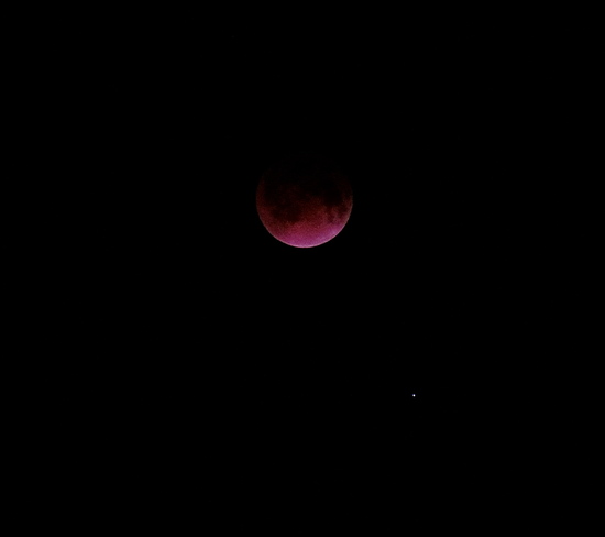 Lunar Eclipse "Blood Moon" 