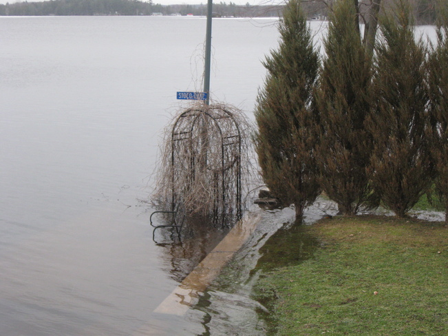 Stoco Lake Flood Tweed, Ontario Canada