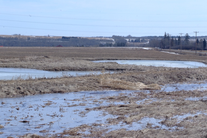Training Ponds Filling Up Leduc, Alberta Canada
