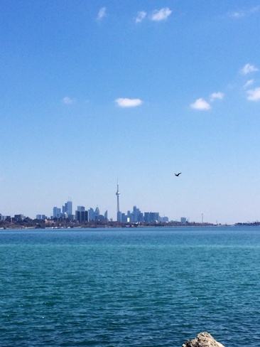 toronto skyline Toronto, Ontario Canada