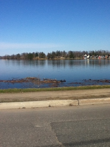 flooded little lake Peterborough, Ontario Canada