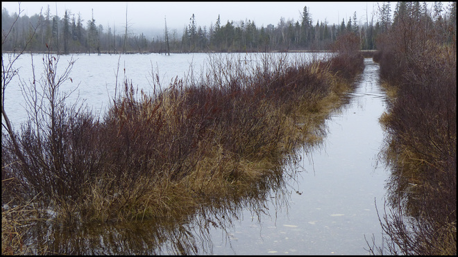 Sheriff Creek, flooded path after the rain. Elliot Lake, Ontario Canada