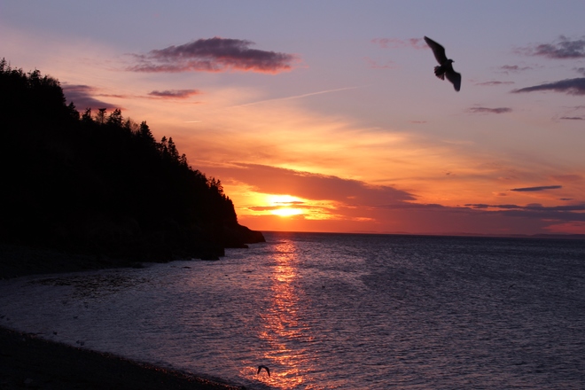 May 1st Sunset. Placentia, Newfoundland and Labrador Canada