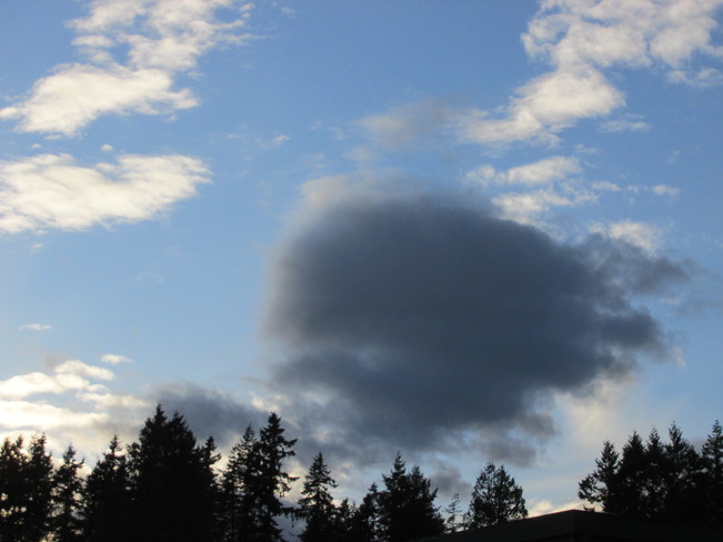 the blob Surrey, British Columbia Canada